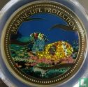 Palau 1 dollar 2003 (PROOF - gekleurd) "Marine Life Protection - Glittering fish" - Afbeelding 2