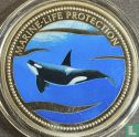 Palau 1 dollar 2003 (PROOF - gekleurd) "Marine Life Protection - Orca" - Afbeelding 2