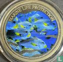 Palau 1 dollar 2004 (PROOF) "Marine Life Protection - School of blue fish" - Afbeelding 2