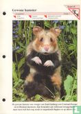Gewone hamster - Image 1