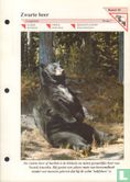 Zwarte beer - Image 1