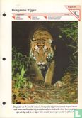 Bengaalse tijger - Bild 1