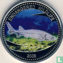 Palau 1 dollar 2008 (PROOF) "Sturgeon" - Afbeelding 1