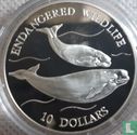 Niue 10 dollars 1992 (PROOF) "Whales" - Afbeelding 2
