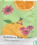 Echinacea Bear  - Image 1