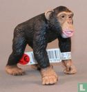 Chimpansee man - Afbeelding 1