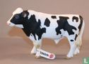 taureaux Holstein - Image 1