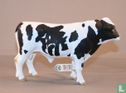 taureaux Holstein - Image 2