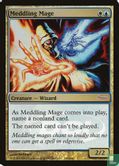 Meddling Mage - Bild 1