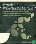 Organic White Tea (Pai Mu Tan) - Image 1