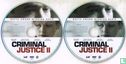 Criminal Justice II - Image 3
