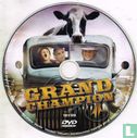 Grand Champion - Image 3