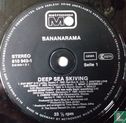 Deep Sea Skiving - Image 3