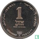Israël 1 nieuwe sheqel 1996 (JE5756) "Hanukka" - Afbeelding 1