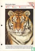 Siberische tijger [met bestelbon] - Image 1