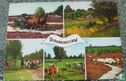 Drouwenerzand - Bild 1
