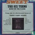The Six Teens - Image 2