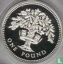 Royaume-Uni 1 pound 1992 (BE - argent) "English oak" - Image 2
