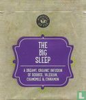 The Big Sleep - Image 1