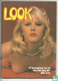Look 13
