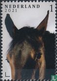Horses - Image 1
