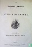 The Pictorial Museum of Animated Nature - Image 3