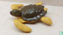 Zeeschildpad - Afbeelding 1