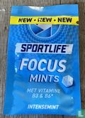 Focus Mints