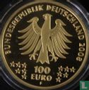 Duitsland 100 euro 2008 (F) "Goslar" - Afbeelding 1