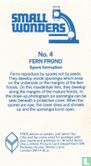 Fern Frond - Afbeelding 2