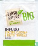 Infuso Zenzero, Curcuma E Frutti Tropicali - Image 1