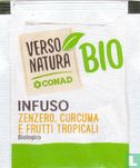 Infuso Zenzero, Curcuma E Frutti Tropicali - Image 2