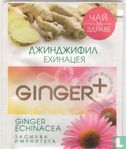 Ginger Echinacea - Image 1