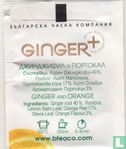 Ginger Orange - Image 2