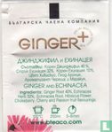 Ginger Echinacea - Image 2