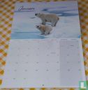 Pelicano Kalender 2023 - Image 3