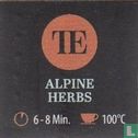 Alpine Herbs  - Bild 3