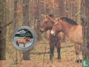 Ukraine 5 Hryven 2021 (Folder) "Przewalski's horse" - Bild 2