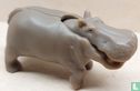 Hippopotamus