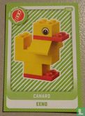 Canard - Eend - Image 1
