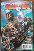 Brightest Day Aftermath: Search for Swamp Thing 3 - Afbeelding 1