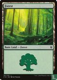 Forest - Image 1