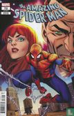 The Amazing Spider-Man 72 - Image 1