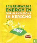 96% Renewable Energie In