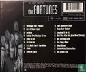 The Very Best of the Fortunes - Afbeelding 2