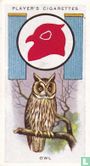 Owl - Afbeelding 1