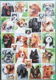 Honden Collage - Afbeelding 1