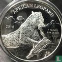 Ghana 5 cedis 2018 (non coloré) "African leopard" - Image 2
