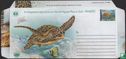 Karetschildpad