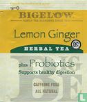 Lemon Ginger - Image 1